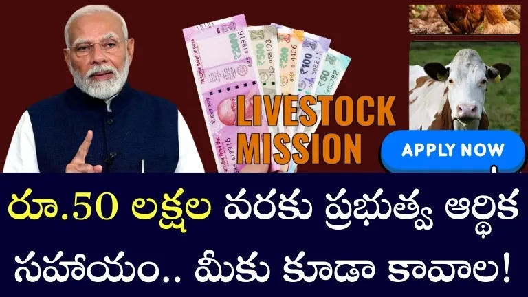 Central Government Scheme